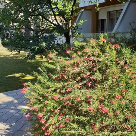 Versilia フォルテ・デイ・マルミ