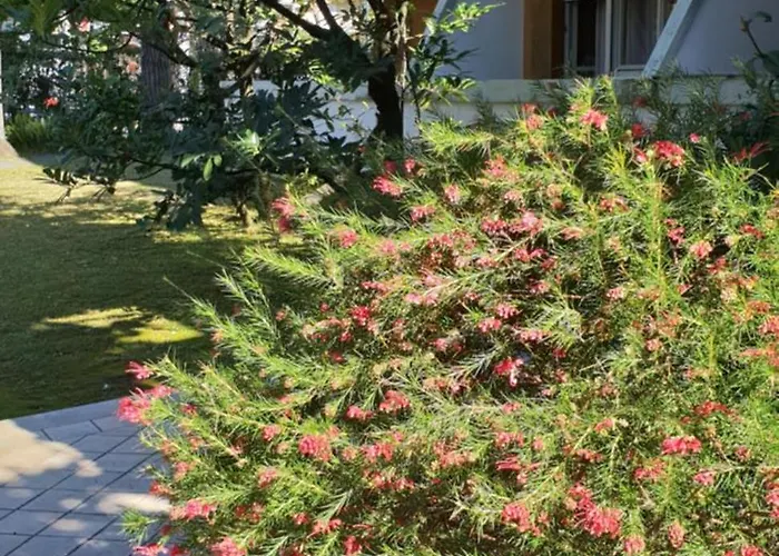 Versilia フォルテ・デイ・マルミ